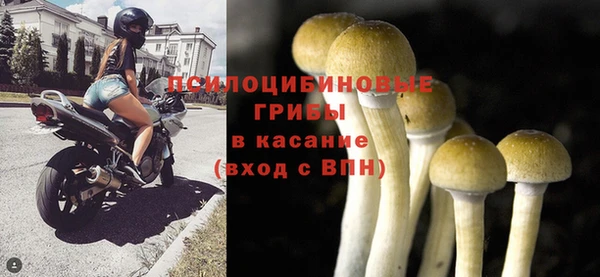 ALPHA-PVP Киреевск