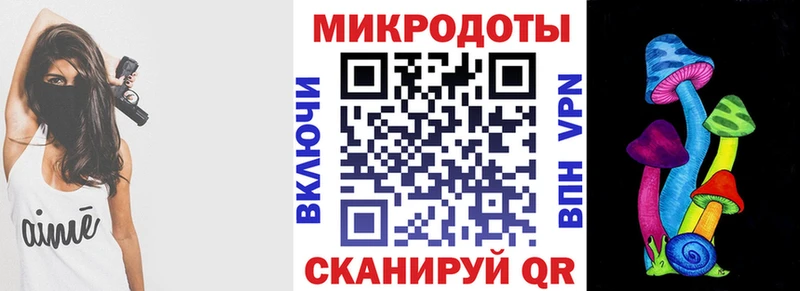 Купить  Волхов  Псилоцибиновые грибы Cubensis 